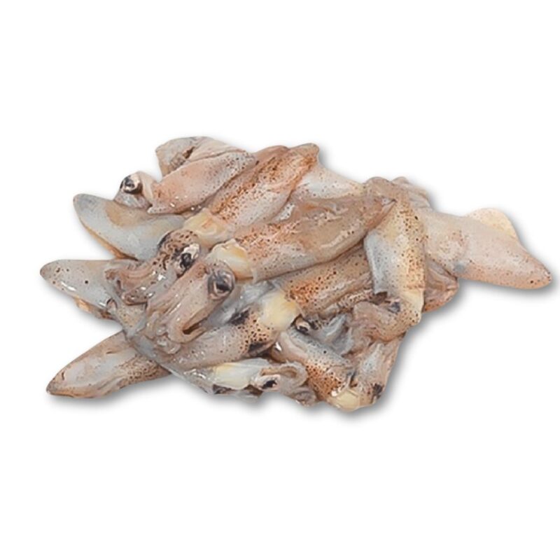 Calamaritos