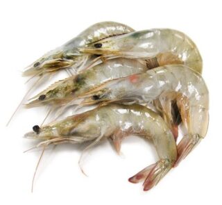 Crevettes-Grises-50-60