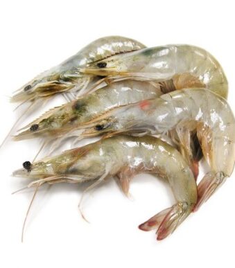 Crevettes-Grises-50-60