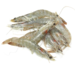 Crevettes-grises-30-40