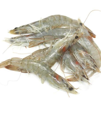 Crevettes-grises-30-40
