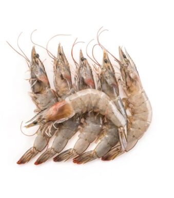 Crevettes-grises-40-50