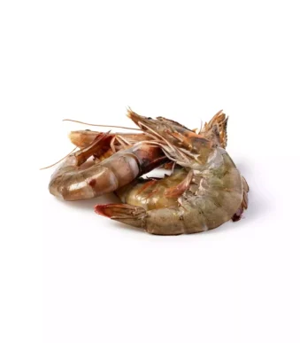 Crevettes-grises-70-80