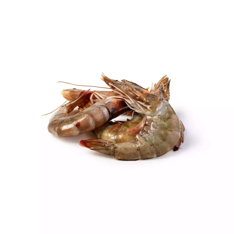Crevettes-grises-70-80