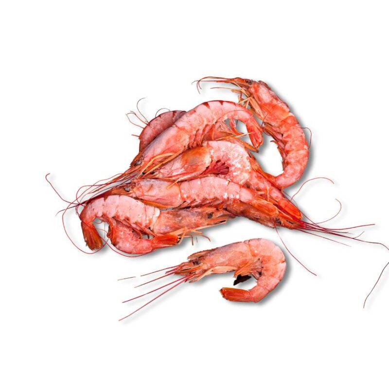 Crevettes-roses