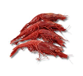 Crevettes-royales