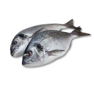 Dorade