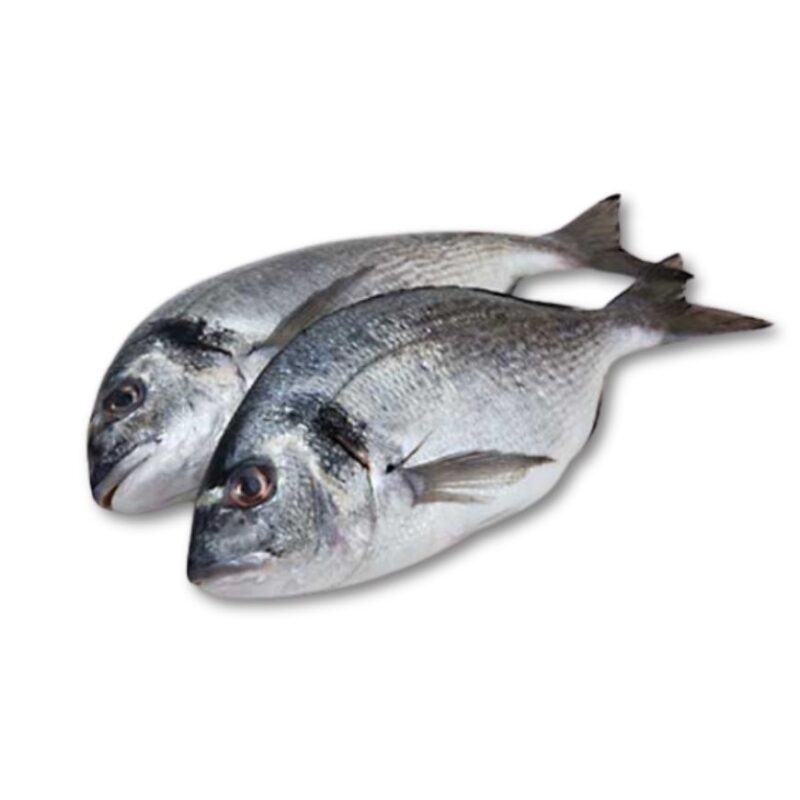 Dorade