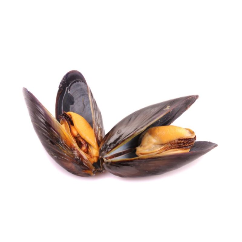 Moules