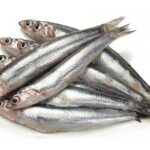 anchois