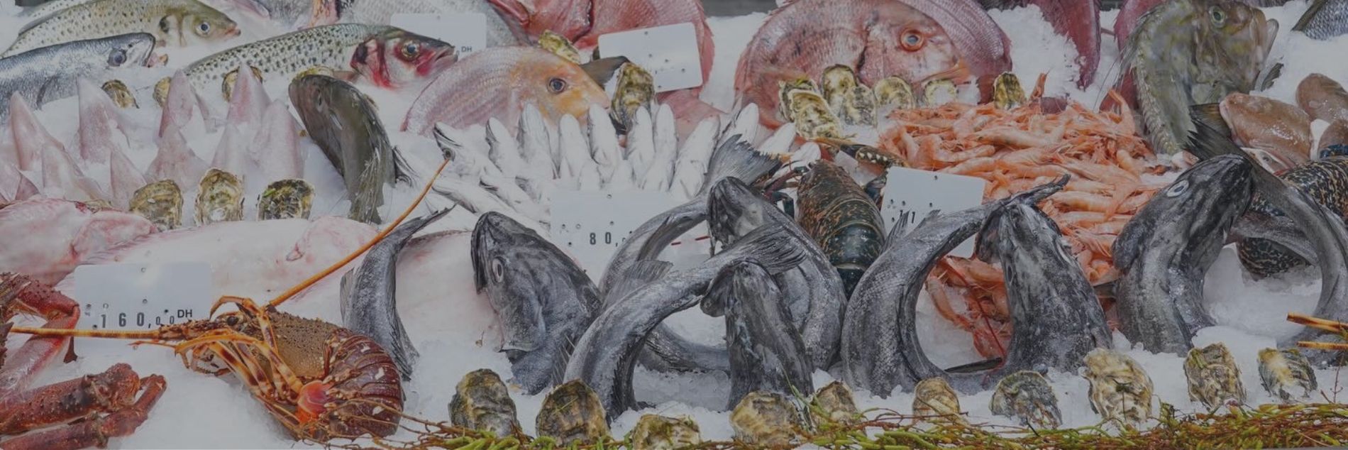 Nor-sea-fish-shop-banner